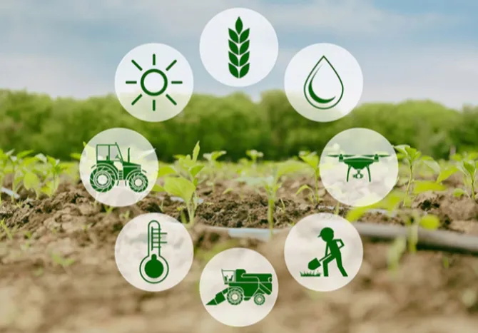 Agriculture