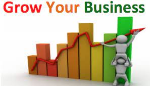 business growth