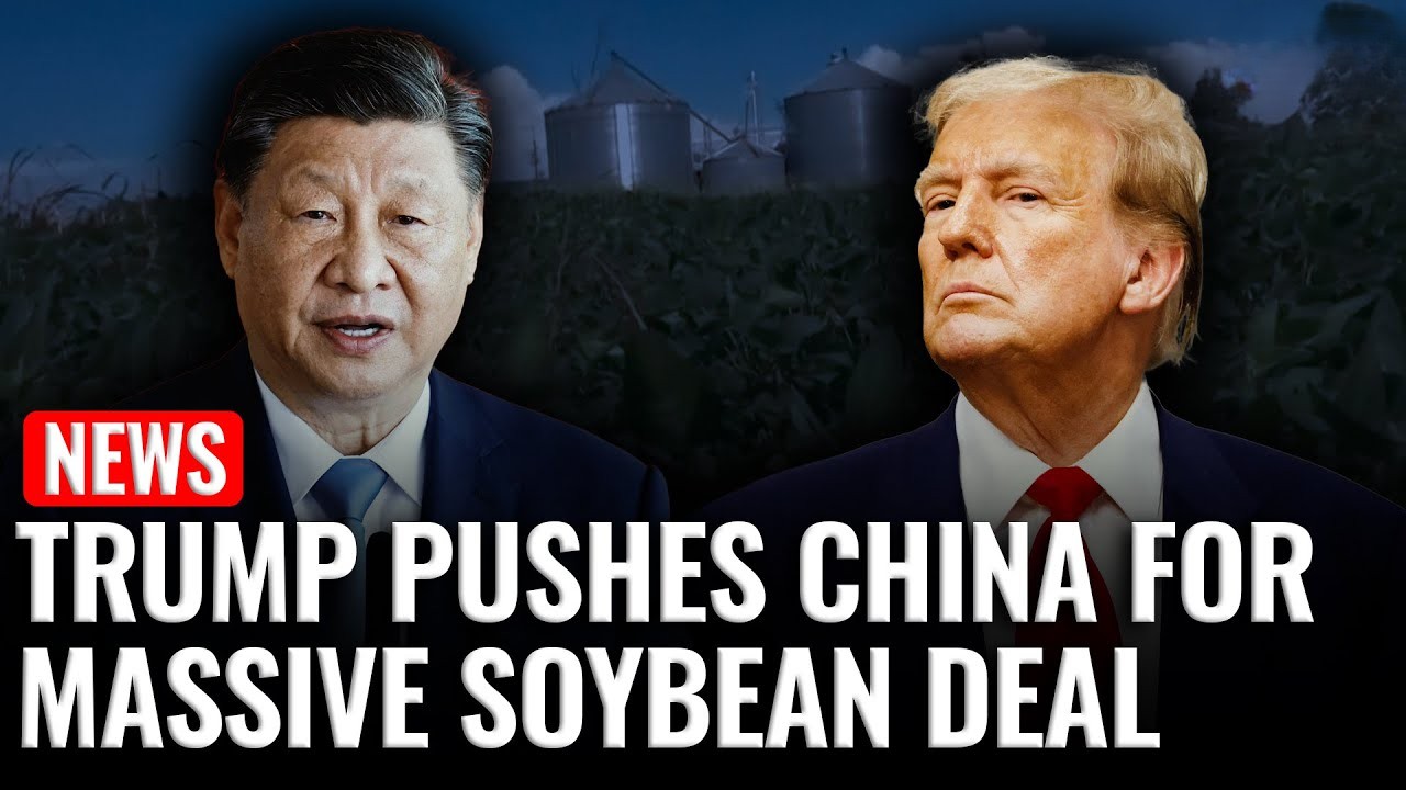 soybeans