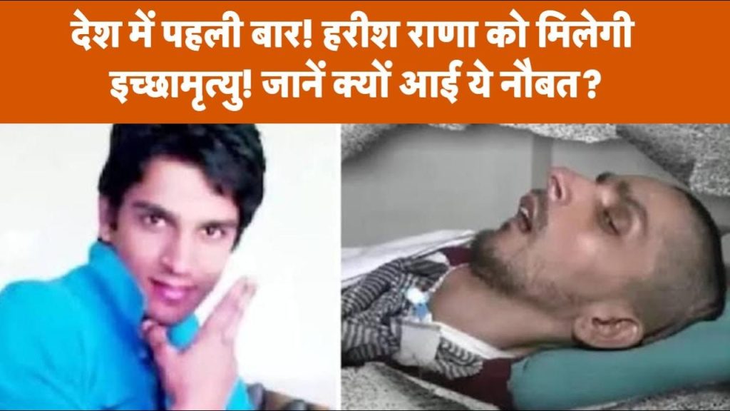 Euthanasia process begins for Harish