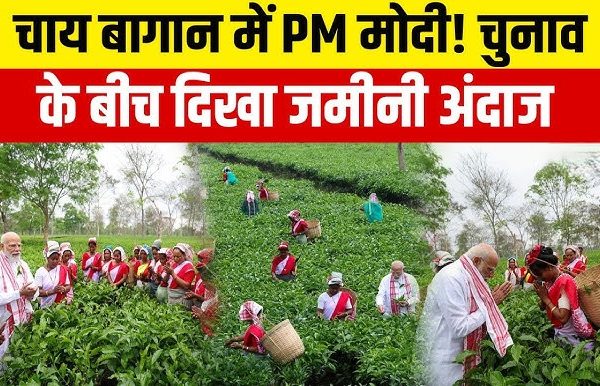 PM Modi visited a tea plantation