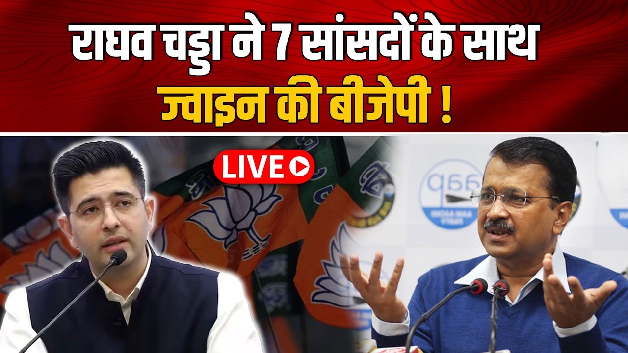 Raghav Chadha is resigned the AAP