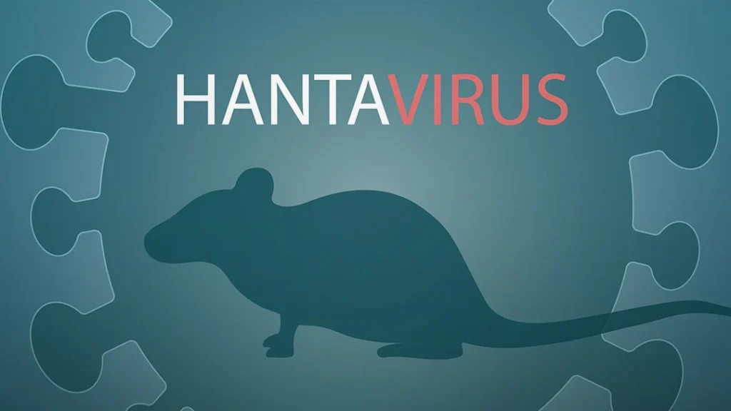 How dangerous is hantavirus