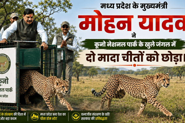 wildlife conservation campaign