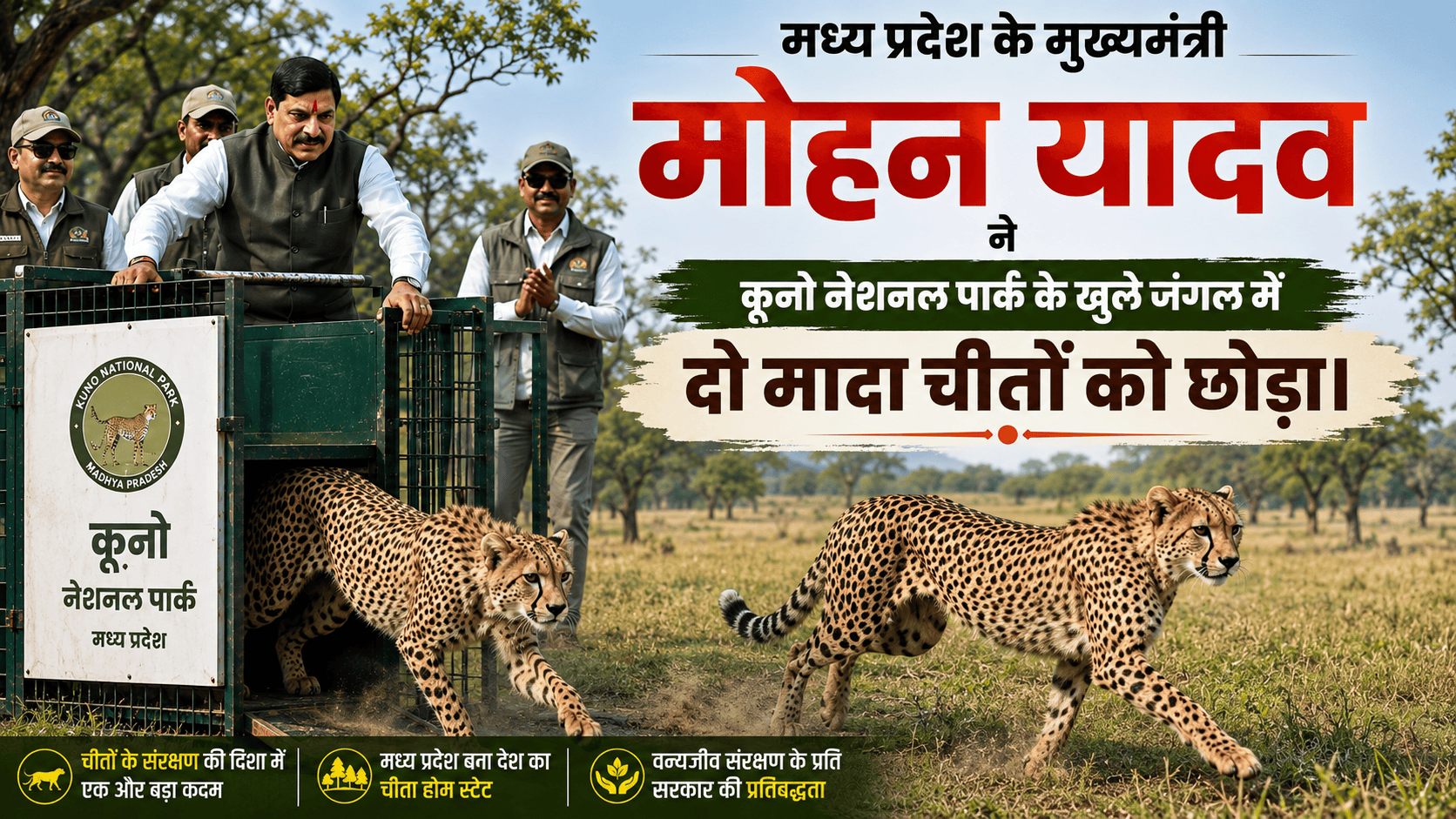 wildlife conservation campaign
