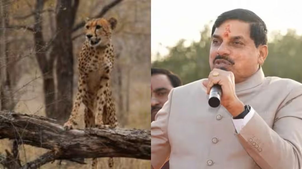 wildlife conservation campaign