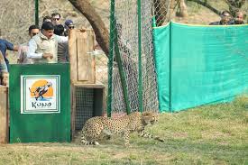 wildlife conservation campaign