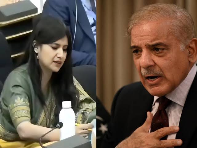 India has sharply rebuked Pakistan