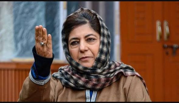 Mufti insulted the national flag